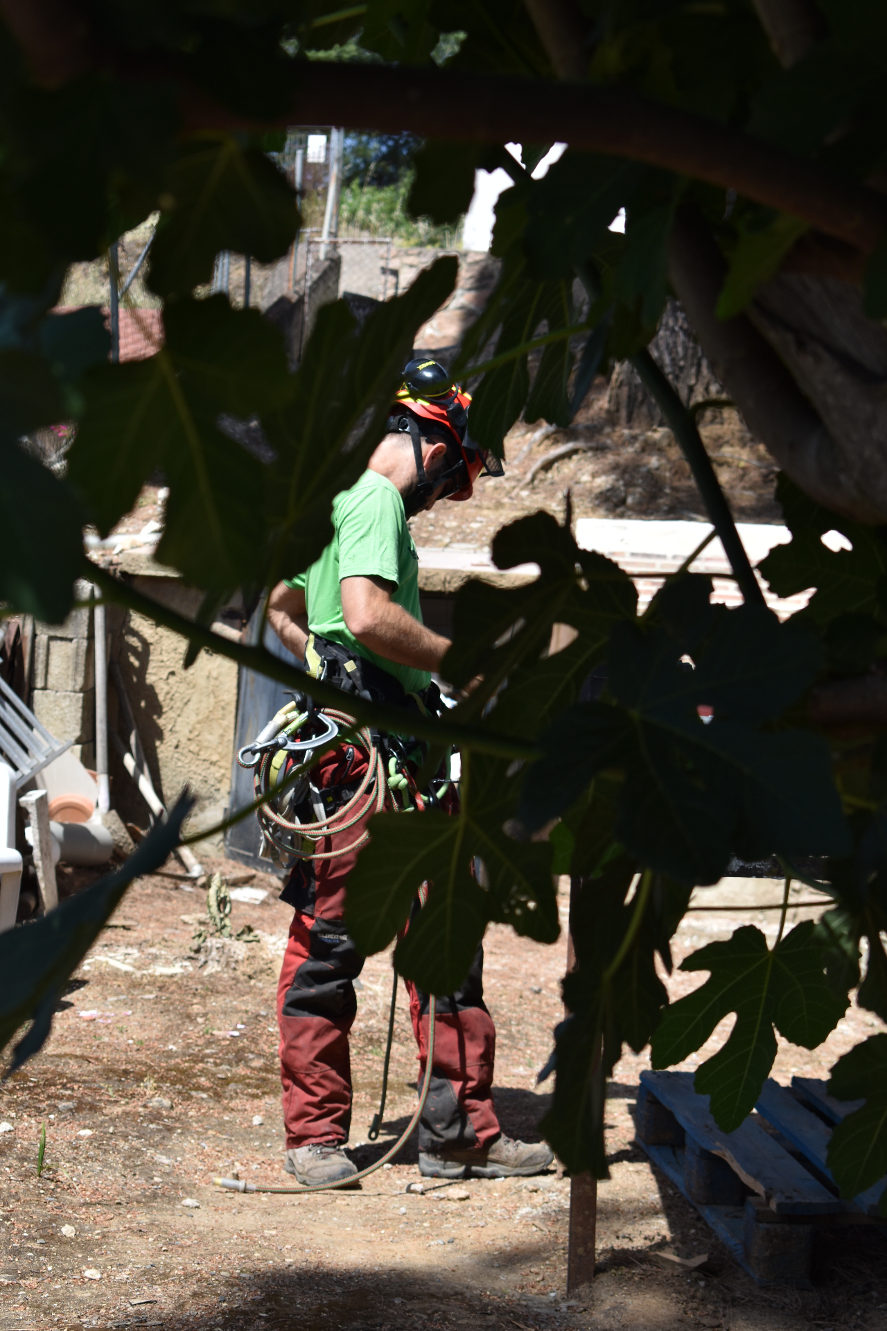 Tramitación de licencias e informes técnicos — Gravical, trabajos verticales y arboricultura en Andalucía