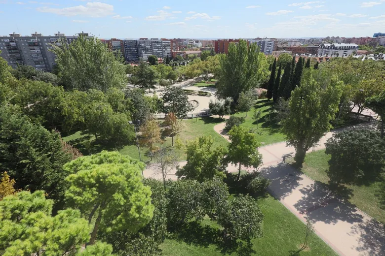 Gestión de arbolado a largo plazo — Gravical, trabajos verticales y arboricultura en Andalucía