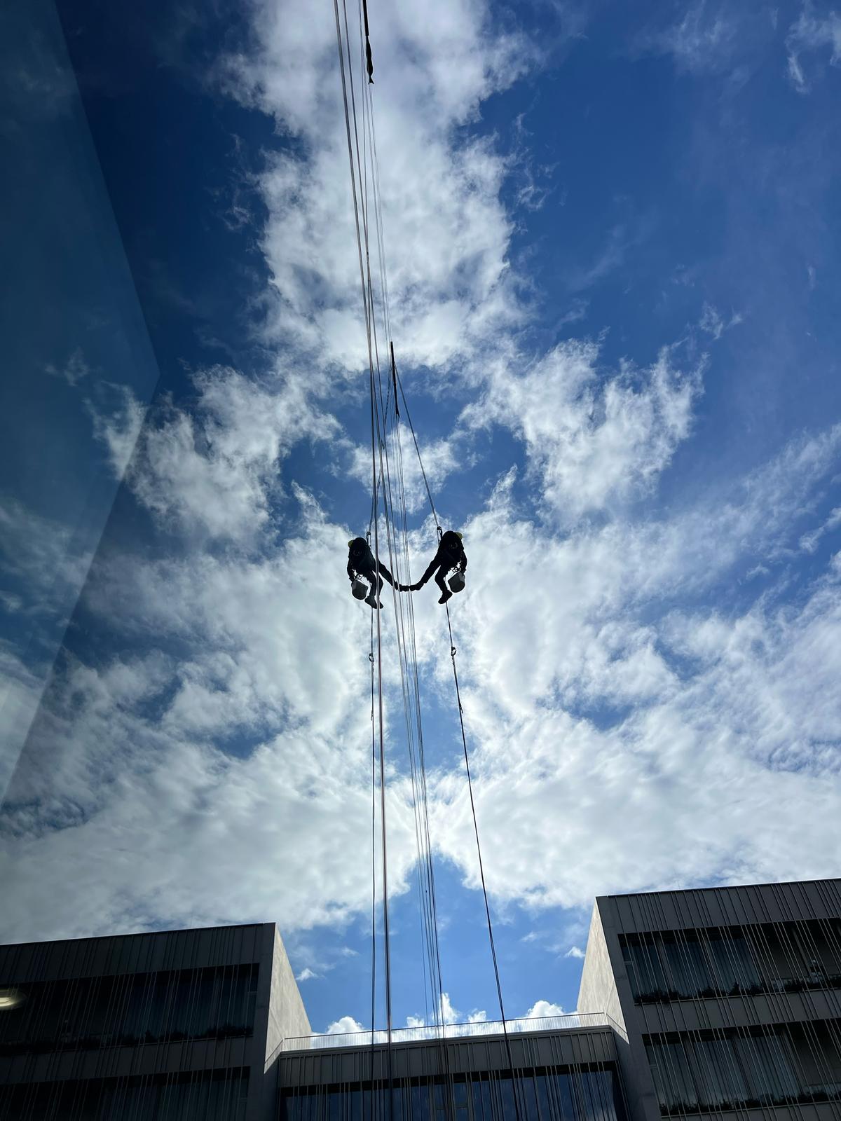 Entorno urbano — Gravical, trabajos verticales y arboricultura en Andalucía